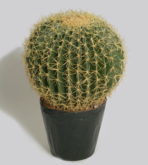 Flot kunstig cactus