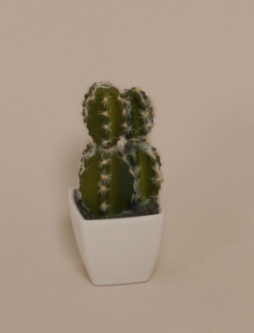 Kunstig cactus i København