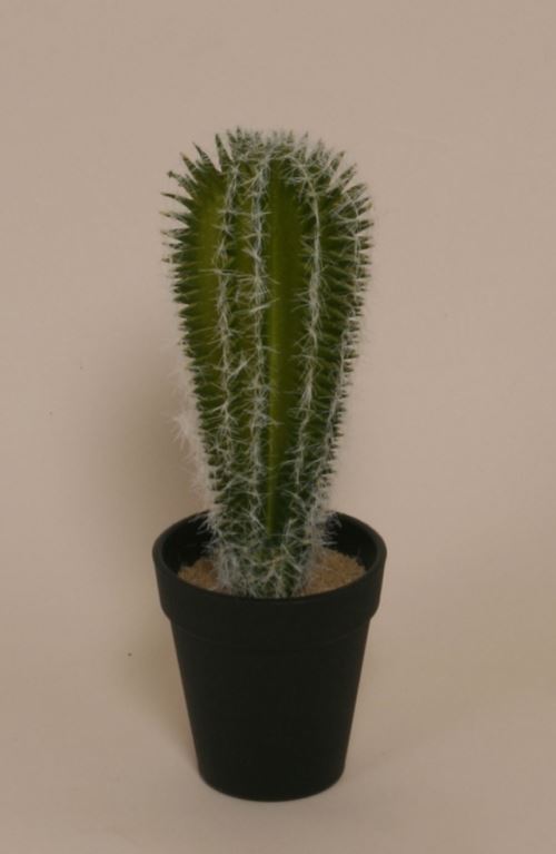 Smuk kunstig cactus
