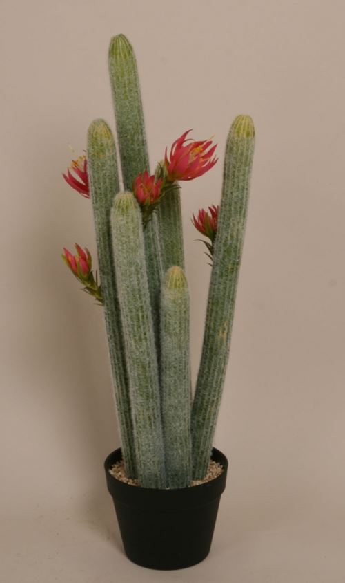 Kunstig cactus med blomster