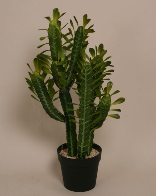 Kunstig cactus plante