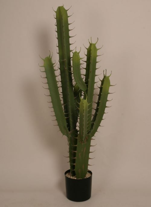 Stor kunstig kaktus