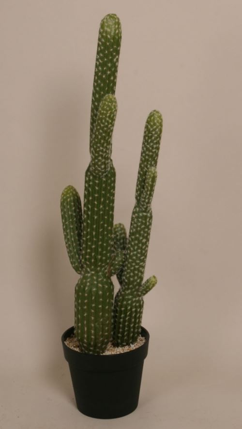 Køb kunstig kaktus