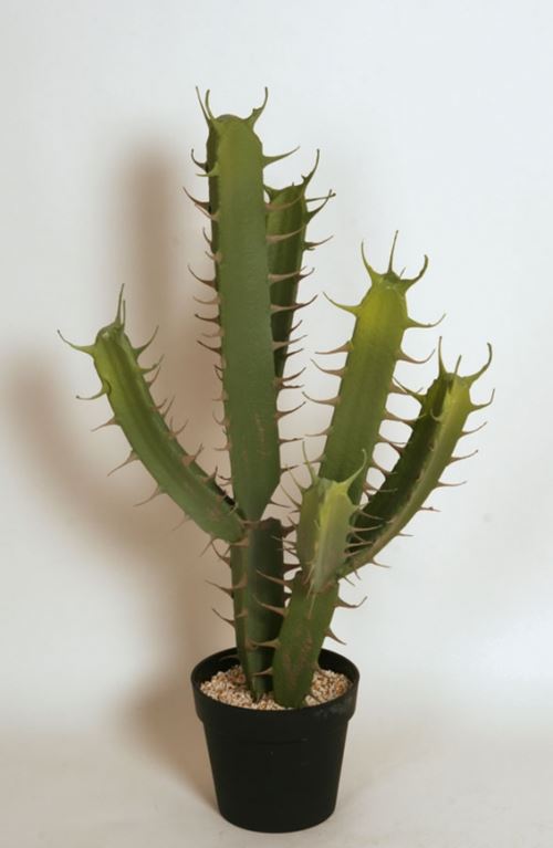 Kunstig kaktus plante