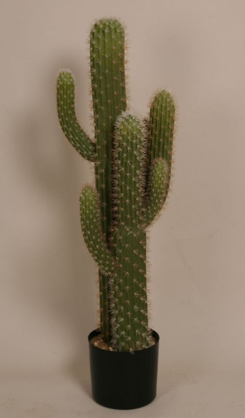 Kunstig Cactus på Sjælland