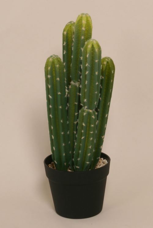 Kunstig cactus 53cm