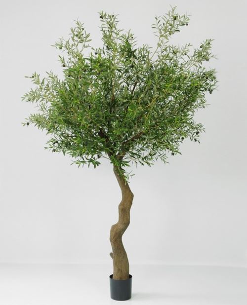 Kunstigt oliventræ hos Boutique Bonica