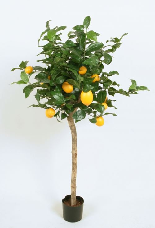 Kunstigt citrontræ