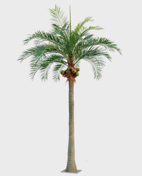 kunstig palme med kokosnoedder.jpg