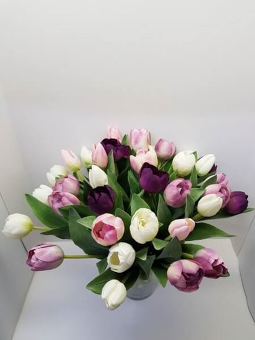 blandede-tulipaner_450x600.jpg