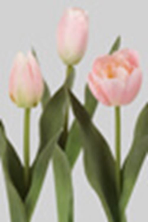 Kunstig tulipan.jpg