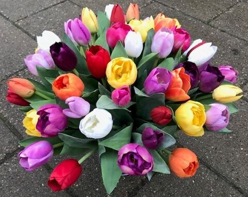 tulipanbuket-blandet.jpg