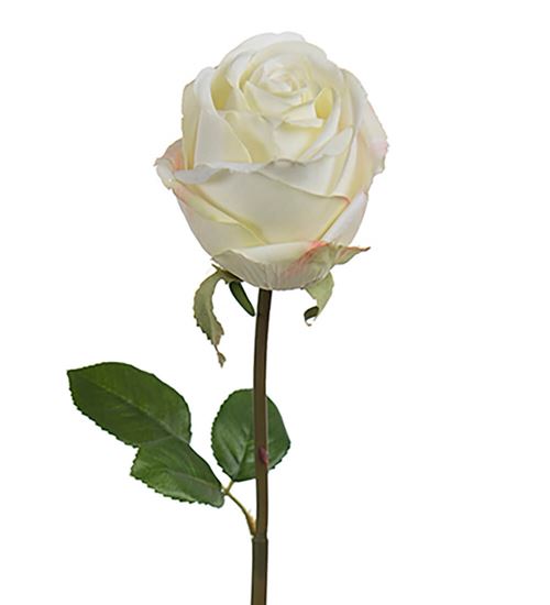 Kunstig hvid rose.jpg