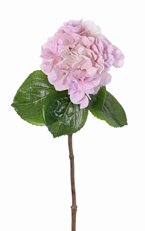 Hydrangea, rosa, Ø 18, 60 cm, 130742lr.jpg