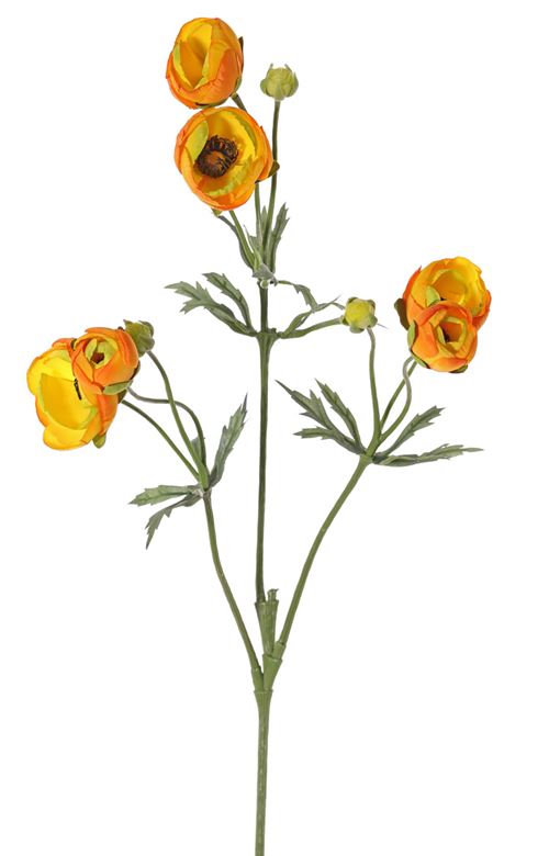 Ranunkel, gul og orange, 65 cm, 131312go.jpg