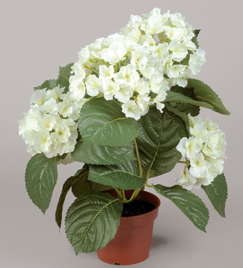 Kunstig hvid Hortensia