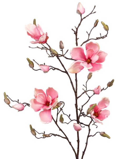 Kunstig magnoliagren