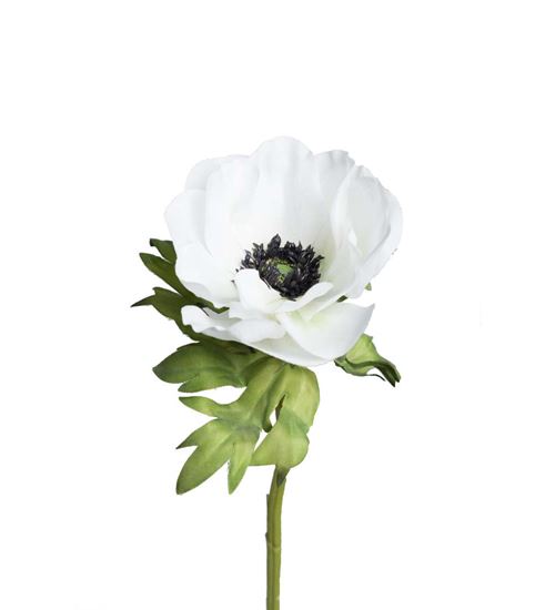 Kunstig Fransk anemone