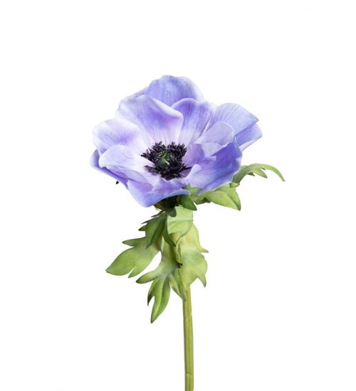 Kunstig Fransk anemone i blå