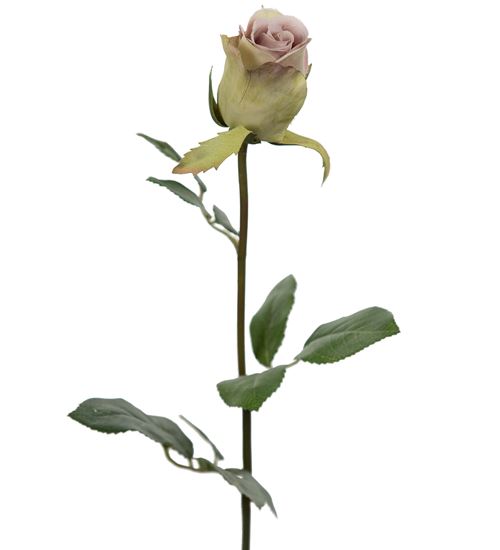 Kunstig rose i hørsholm