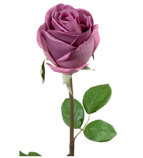 Kunstig smuk rose