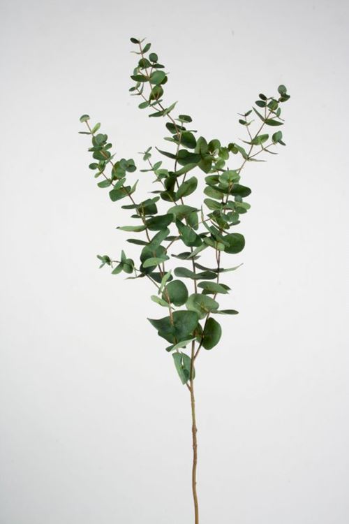 Kunstig Eucalyptus i 79cm
