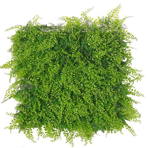 Grøn plantevæg, UV-safe, 50 x 50 x 8 cm.jpg