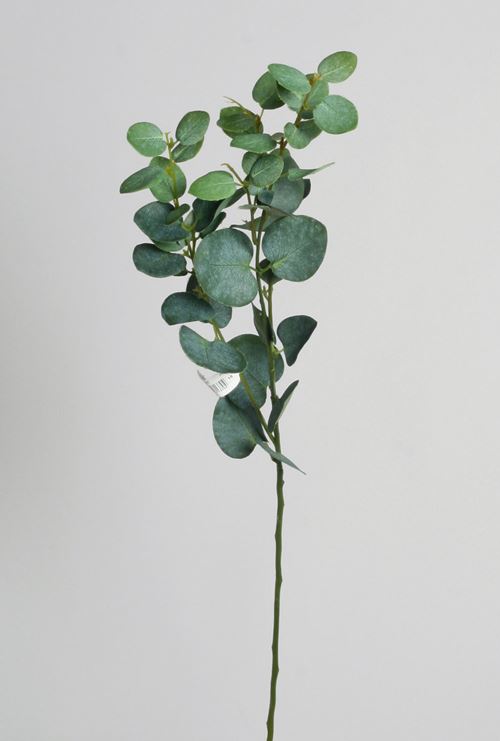 Smart kunstig eucalyptus.jpg